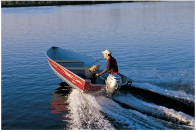 Honda BF 15 LHU Außenborder 3 Honda BF 15 LHU Außenborder – Bild 3