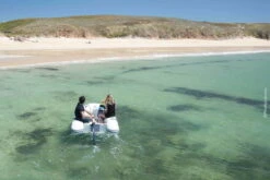 TEMO 450 Elektrischer Außenborder -Honda || PLASTIMO || Lewmar Verkaufsgeschäft temo 450 elektrischer aussenborder 01