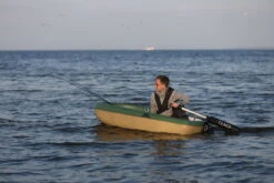 TEMO 450 Elektrischer Außenborder -Honda || PLASTIMO || Lewmar Verkaufsgeschäft temo 450 elektrischer aussenborder 07