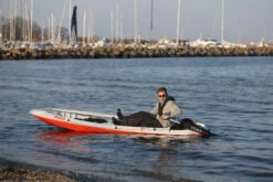 TEMO 450 Elektrischer Außenborder -Honda || PLASTIMO || Lewmar Verkaufsgeschäft temo 450 elektrischer aussenborder 10